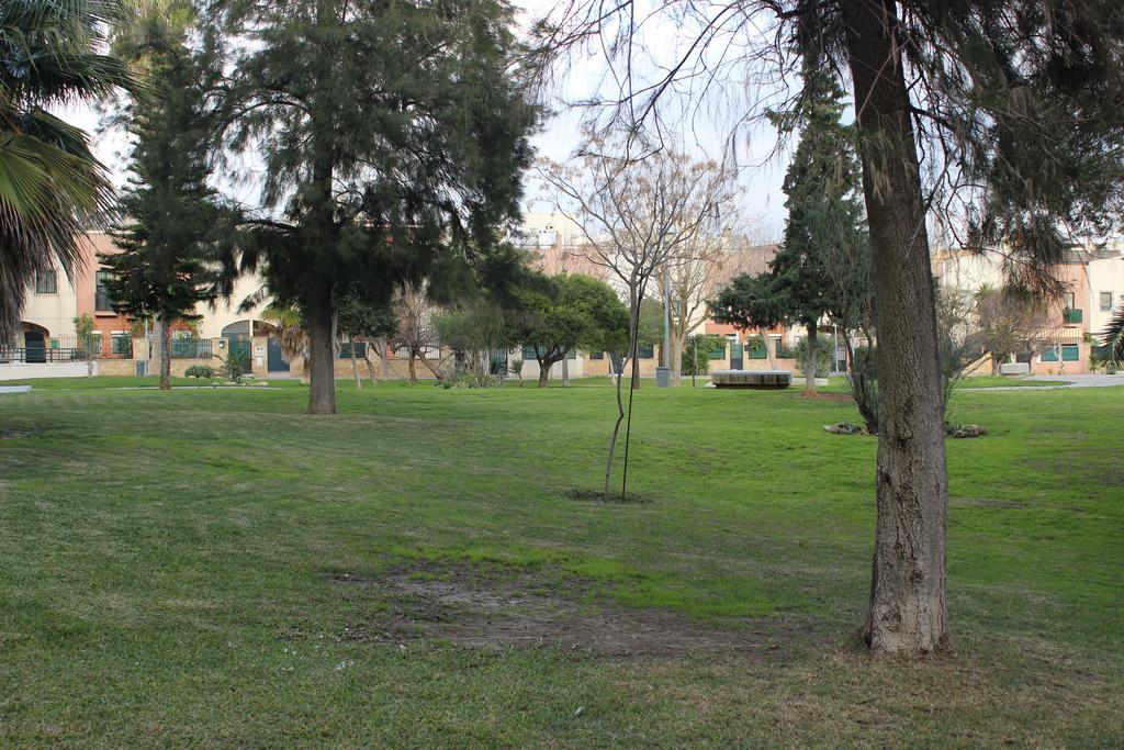 Apartamento La Venencia ヘレス エクステリア 写真